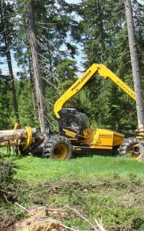 Forestry machine operating in a forest environment