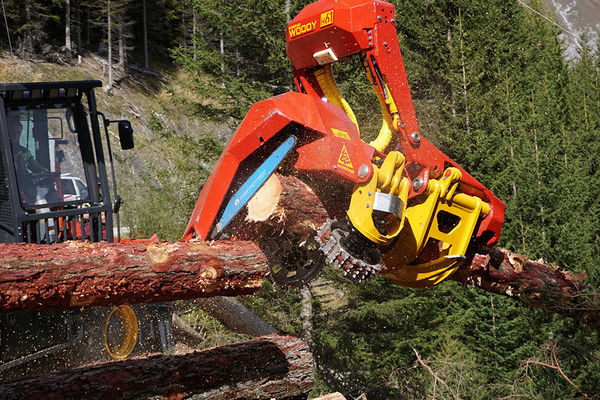 A Woody 60 forestry machine cutting logs in a forest