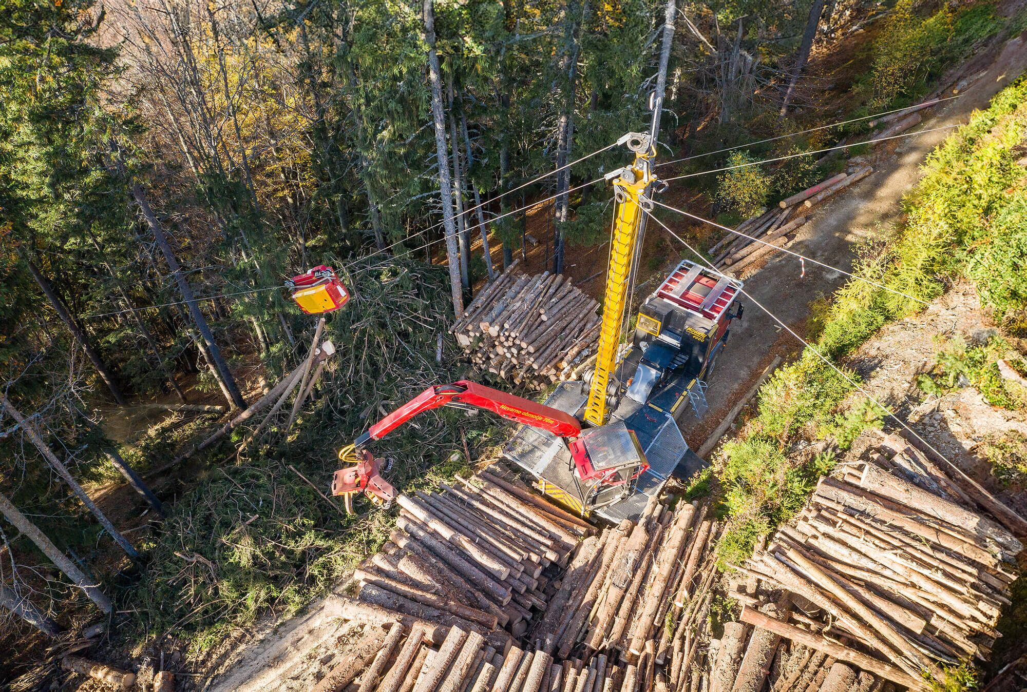 Aerial shot of logging operation using forestry equipment.