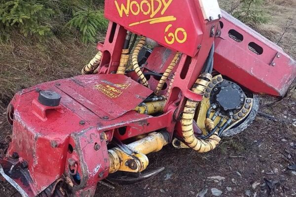 Woody WH60
