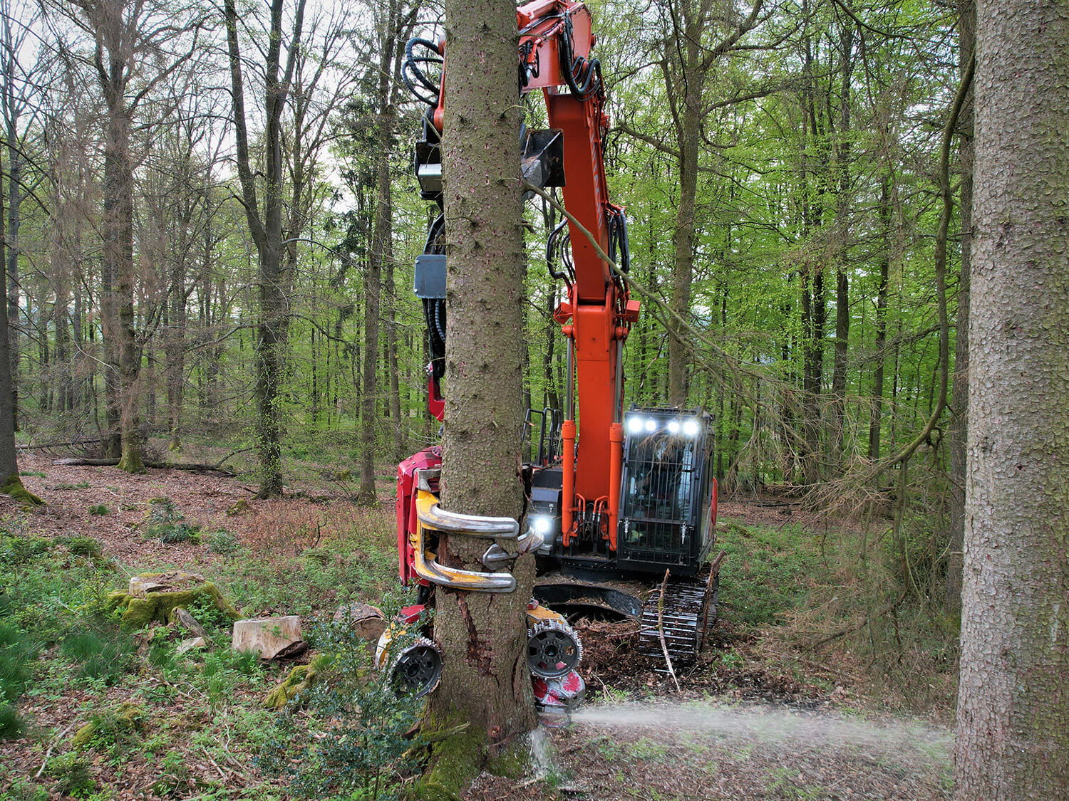 A forestry machine cutting down a tree in a forest