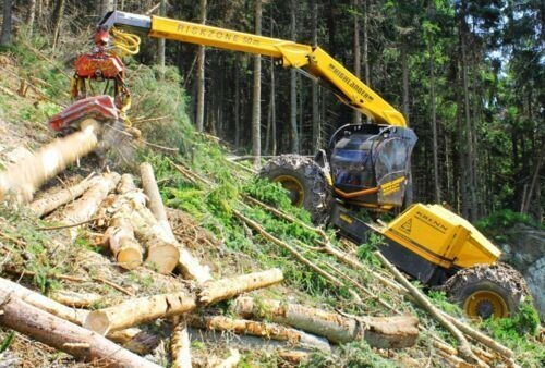 Heavy forestry machine processing timber on a hill
