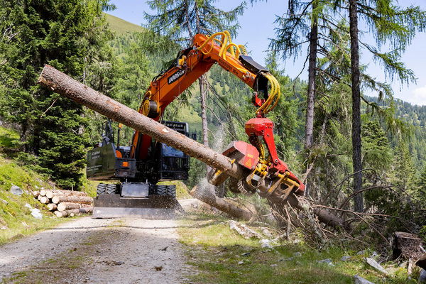 Forestry machine handling a tree in a forest setting