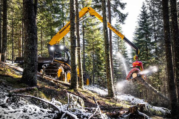 Eine Forstmaschine mit einem gelben Auslegerarm, die in einem verschneiten Wald arbeitet