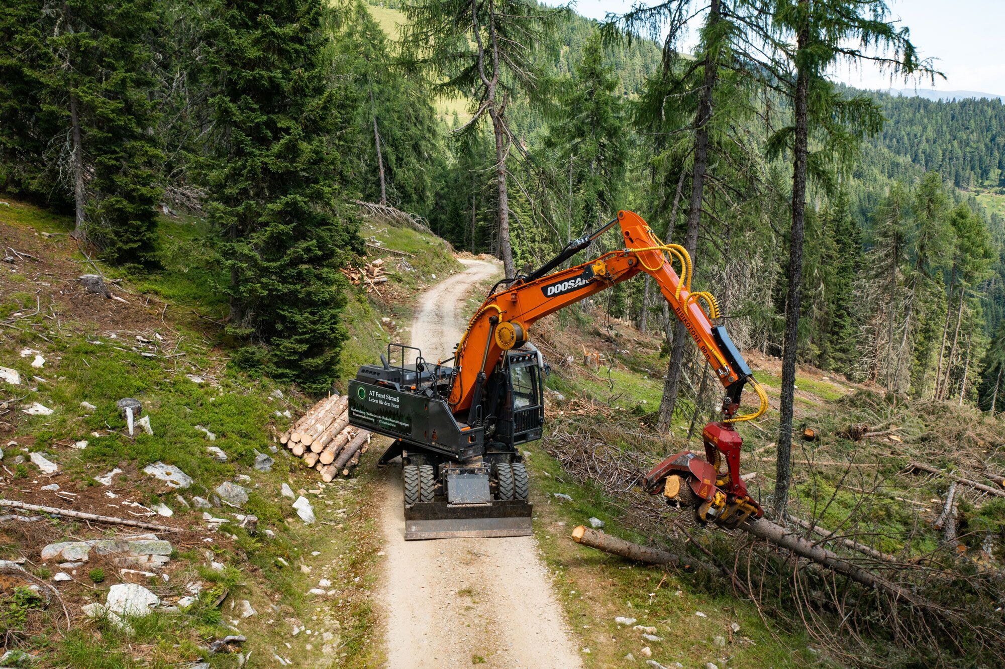 An orange excavator clearing trees in a Bulgarian forest
