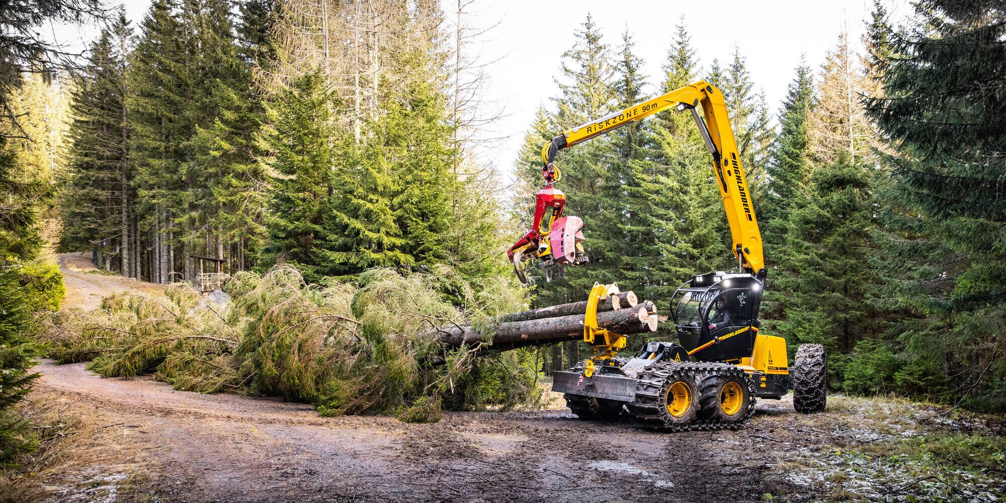 Yellow forestry machinery lifting logs in a wooded area