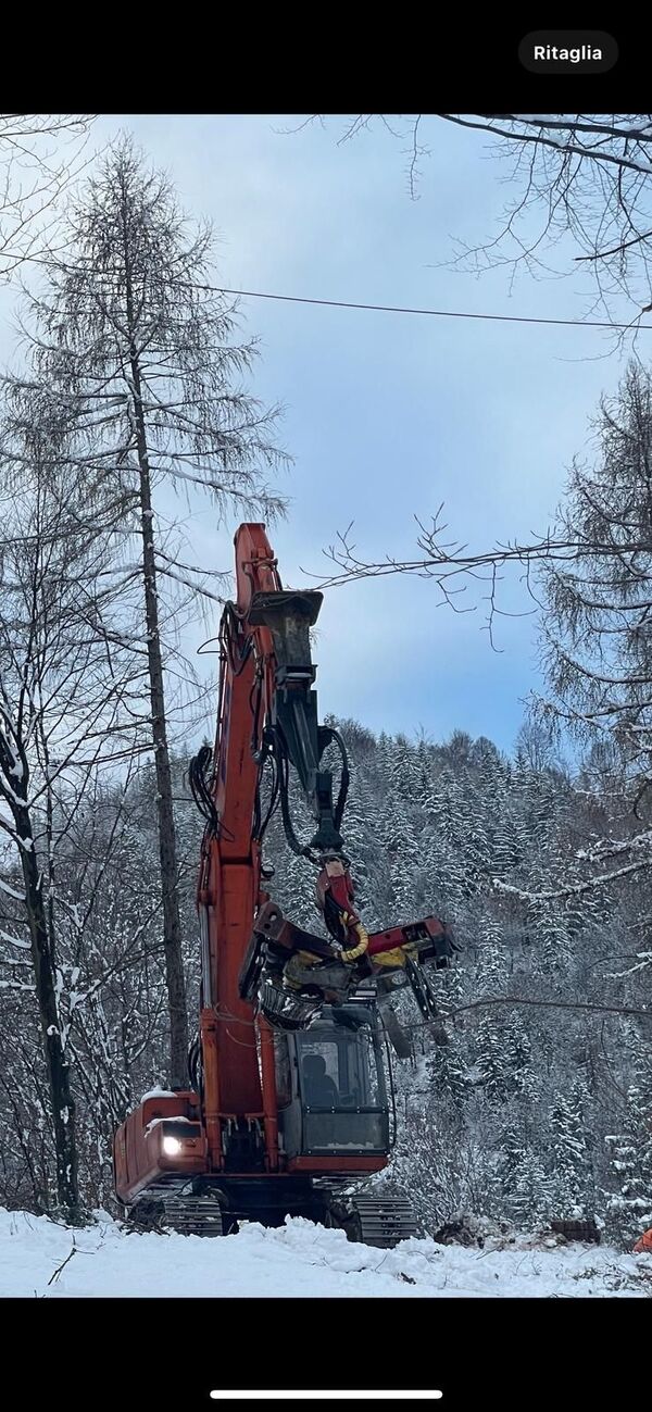 A red excavator operating in a snowy forest with a background of snow-covered trees