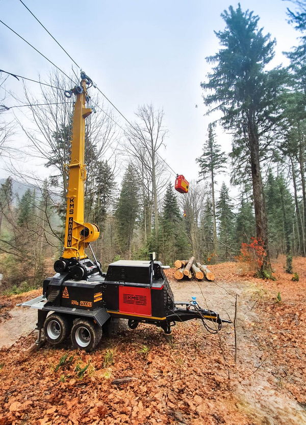 A mobile forestry crane with bright yellow arm and black base, lifting logs in a winter forest setting with coniferous trees and fallen autumn leaves.