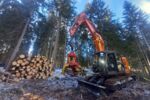 Hitachi ZX225 mit Woody WH60-1